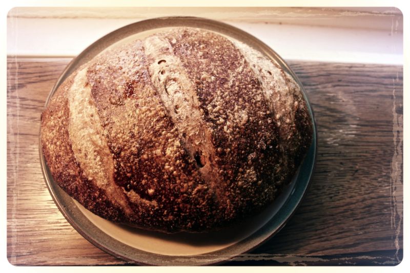 Canada 150- Yukon And Rustic Winter Sourdough 